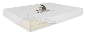 {{photo.Alt || photo.Description || 'Наматрасник "Cotton Plus"'}}
