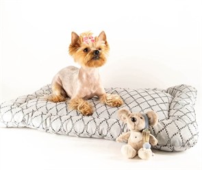 {{photo.Alt || photo.Description || 'Лежанка "Chico" Жаккард'}}