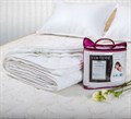 При покупке матраса из серии "AMORE" - в подарок защитный наматрасник на резинках в размер матраса! - фото 120441