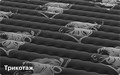Матрас "София" - фото 182650