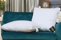 Импортная швейцарская подушка "Trois Couronnes Duke Cosy" - фото 189862